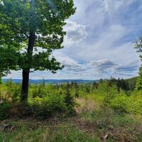 Landschaft am Mescheder Höhenwanderweg