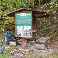 Rastplatz am Teich Bitovsky potok