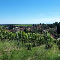 Blick auf Pleisweiler