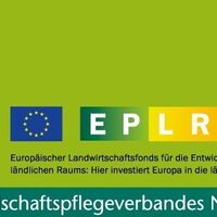 Projektdurchführung und -förderung