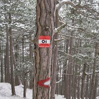 Hohe Mandling - Waldegg