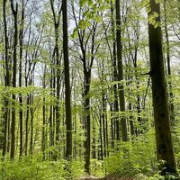 Rundweg zw Grüner Tisch und Kaltes Loch