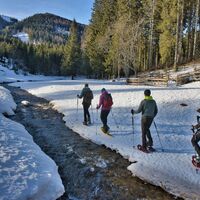 Wanderung entlang des Mixnitzbachs_Naturpark Almenland_Oststeiermark