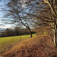 Herbst am Fabelweg