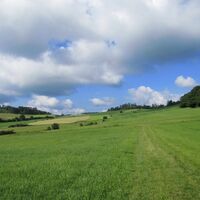 Wiesenweg am Ödenberg