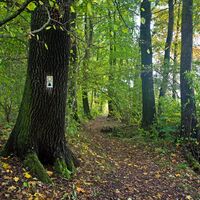 Ohrdruf Stabsbüsche