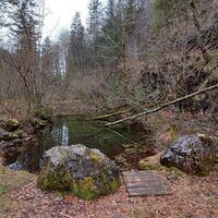 Im Tal des Holzes in der kalten Jahreszeit