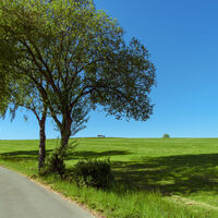 Landlebenweg Kohlberg