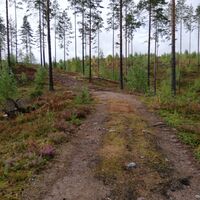 Naturpfad Tolpankangas