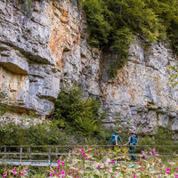 Wutachschlucht