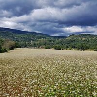 Massignieu de Belmont