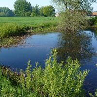 Die Röteteiche in Spenge-Bardüttingdorf