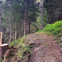 Rastplatzerl am Wanderweg #61 Richtung Hüttecksattel und Hochwurzen