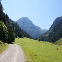 Der Weg ins Steinriesental im Bereich der Unteren Steinwendalm