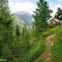 Die kleine Jagdhütte, Zeit für eine kleine Rast.