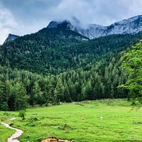 Am Fuße des Schafbergs auf der Eisenaualm
