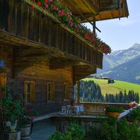 Bauernhof Thierberghof Alpbach