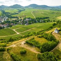 Liebliches Weinland zwischen der Kleinen Kalmit und dem Pfälzerwald