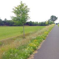 Radweg entlang der Hambrocker Chaussee