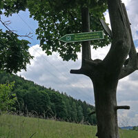 Rund um den Kulm bei Saalburg