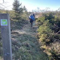 Wandergruppe im Januar auf der Sauerland-Waldroute