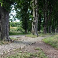 Der Singplatzweg