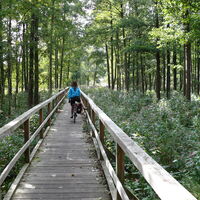 Radeln auf dem Brückenradweg