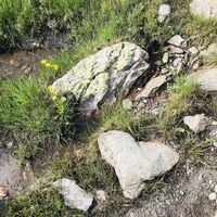gratwanderung über den kothüttensee zum karlspitz_img_41909149