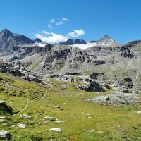 Selva - Cancian