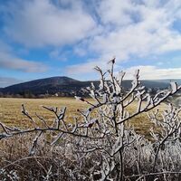 Eiszauber in Küstelberg