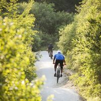 Bike-park---S-Monserant.jpg