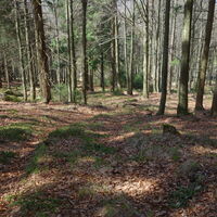 Abstieg Burgsteinberggipfel