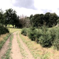 Ennepetal_Wanderweg