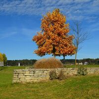 Thermenpark Bad Blumau