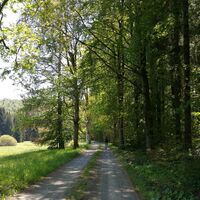 Von Rodacherbrunn zum Titschendorfer Floßteich