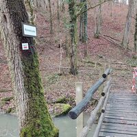 Brücke über den Wüstenbach