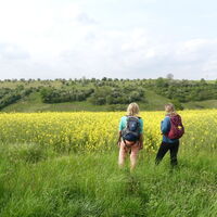 Naturschutzgebiet Krumme Grund