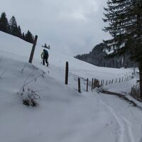 Scheeschuhtrail-Riggisalp