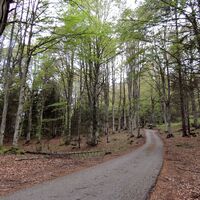 Weg nach San Giorgio