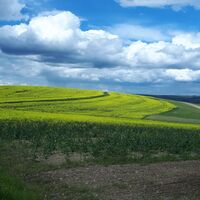 Den Wolken so nah am Pfälzer Höhenweg