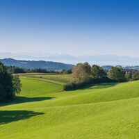 5 Baumberg BadZell