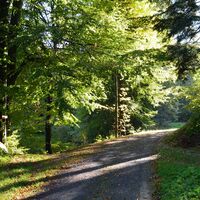 Auf dem Weg zum Wildgehege Dobeltal