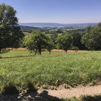 Aussicht an der Mühlsberg-Runde