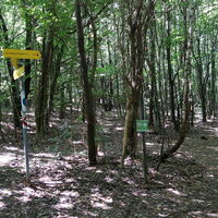 am Weg zur Redlinger Hütte