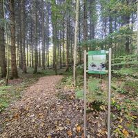 Station am Waldbadepfad Assamstadt