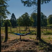 Baumelstation am Wild- und Wanderpark Weiskirchen