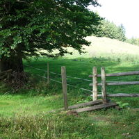Aufstieg zur Paulmauer