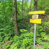 Wanderschild zum Wasserfall