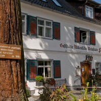 Mammutbaum in Kressbronn