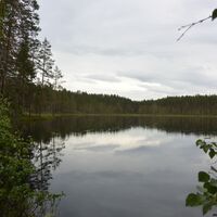 Raesärkkien Wildsee